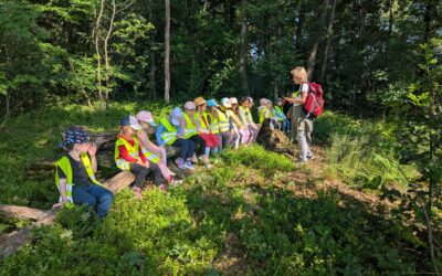 Unser Waldtag